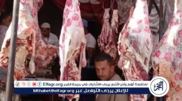 تراجع أسعار اللحوم في أسوان السبت 29 نوفمبر 2025 يشغل المستهلكين